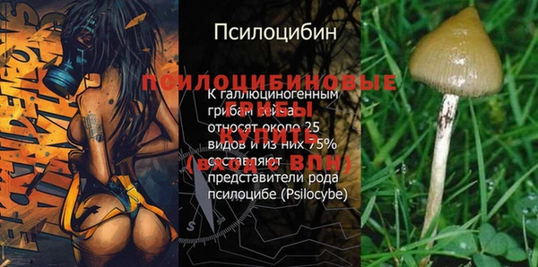 стаф Абаза
