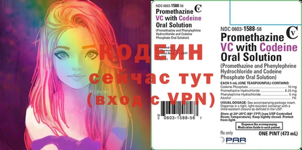 стаф Абаза