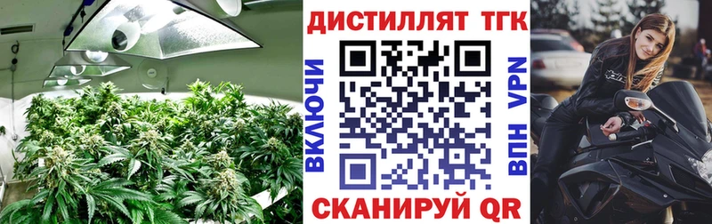 ТГК жижа  Инта 